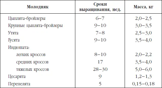 Птичье мясо является источником полноценных белков жира минеральных веществ и - фото 2