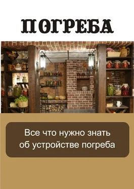 Илья Мельников Все, что нужно знать об устройстве погреба обложка книги