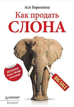 Ася Барышева Как продать слона обложка книги