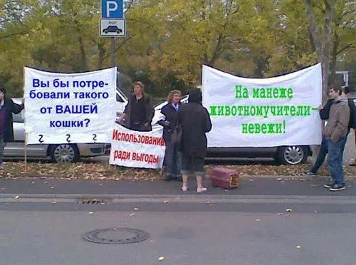 Все полтора часа аудитория завороженно хлопала и искренне восхищалась - фото 5