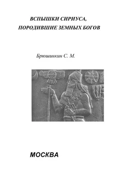 Сергей Брюшинкин Вспышки Сириуса, породившие земных богов обложка книги