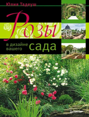 Юлия Тадеуш Розы в дизайне вашего сада обложка книги