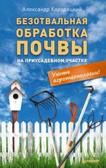 Александр Кородецкий - Безотвальная обработка почвы на приусадебном участке - умные агротехнологии