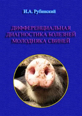 Игорь Рубинский Дифференциальная диагностика болезней молодняка свиней