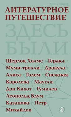 Элиша Зинде Литературное путешествие обложка книги