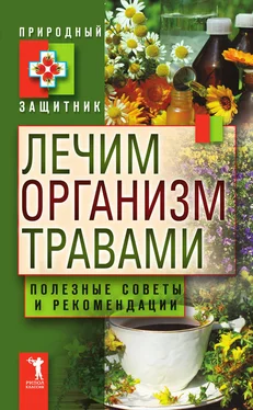 Юлия Николаева Лечим организм травами. Полезные советы и рекомендации обложка книги