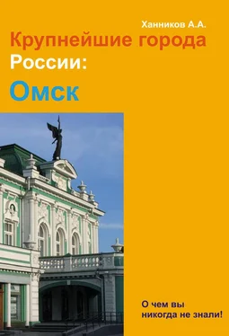 Александр Ханников Омск обложка книги