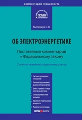 Светлана Матиящук - Комментарий к Федеральному закону от 26 марта 2003 г. № 35-ФЗ «Об электроэнергетике» (постатейный)