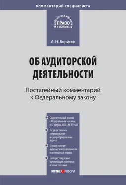 Александр Борисов Комментарий к Федеральному закону от 30 декабря 2008 г. № 307-ФЗ «Об аудиторской деятельности» (постатейный) обложка книги