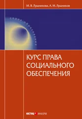 Андрей Лушников - Курс права социального обеспечения