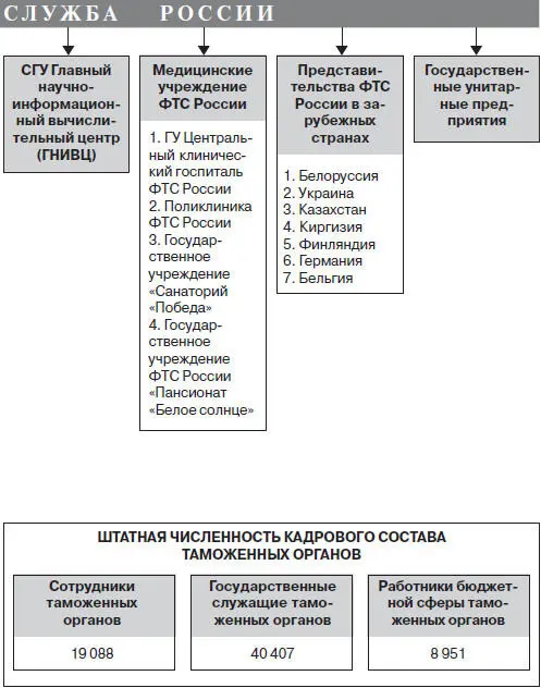 Рис 2 Структура таможенных органов Российской Федерации и организаций ФТС - фото 3