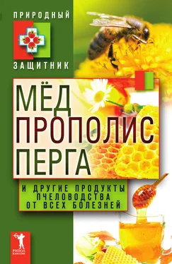 Юлия Николаева Мёд, прополис, перга и другие продукты пчеловодства от всех болезней