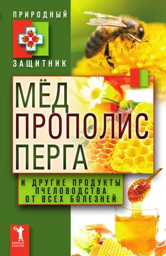 Юлия Николаева Мёд, прополис, перга и другие продукты пчеловодства от всех болезней обложка книги