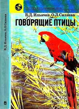 Валерий Ильичев Говорящие птицы обложка книги