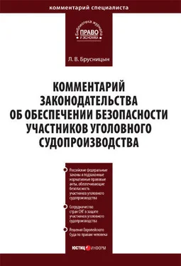 Леонид Брусницын Комментарий законодательства об обеспечении безопасности участников уголовного судопроизводства