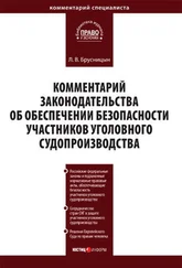 Леонид Брусницын - Комментарий законодательства об обеспечении безопасности участников уголовного судопроизводства