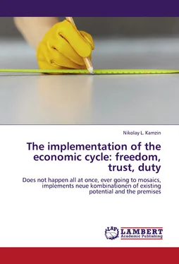 Николай Камзин The implementation of the economic cycle: freedom, trust, duty обложка книги