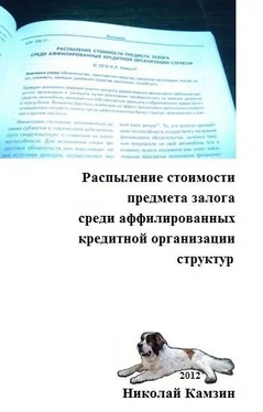 Николай Камзин Распыление стоимости предмета залога среди аффилированных кредитной организации структур обложка книги