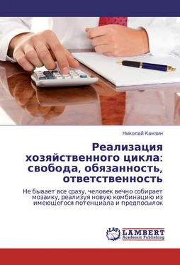 Николай Камзин Реализация хозяйственного цикла: свобода, обязанность, ответственность обложка книги