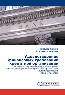 Елизавета Камзина Удовлетворение финансовых требований кредитной организации обложка книги