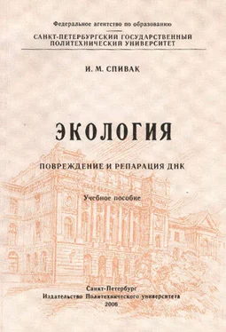 Ирина Спивак Экология. Повреждение и репарация ДНК: учебное пособие обложка книги