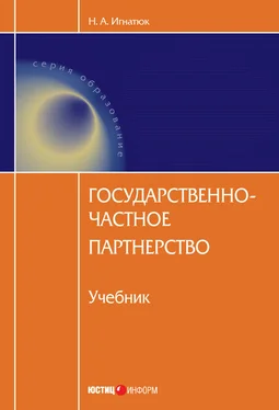 Наталья Игнатюк Государственно-частное партнерство обложка книги