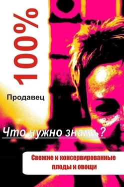 Илья Мельников Свежие и консервированные плоды и овощи обложка книги