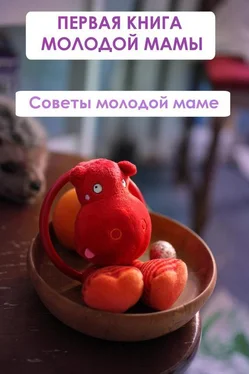 Илья Мельников Советы молодой маме обложка книги