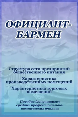 Илья Мельников Структура сети предприятий общественного питания обложка книги