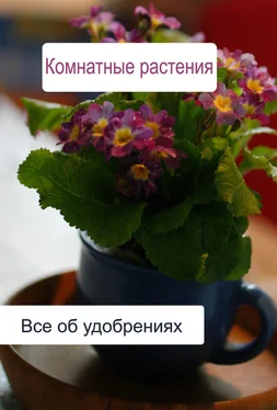 Илья Мельников Комнатные растения. Все об удобренияx обложка книги