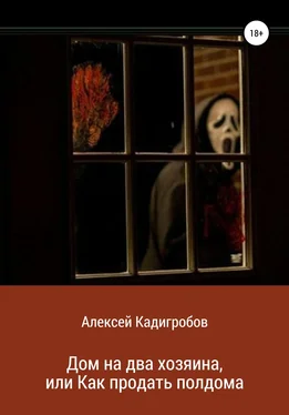Алексей Кадигробов Дом на два хозяина, или Как продать полдома обложка книги
