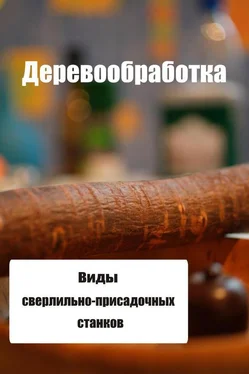 Илья Мельников Виды сверлильно-присадочных станков обложка книги