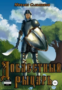 Михаил Сальников Доблестный рыцарь обложка книги