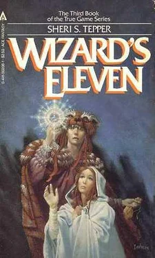 Sheri Tepper Wizard’s Eleven обложка книги