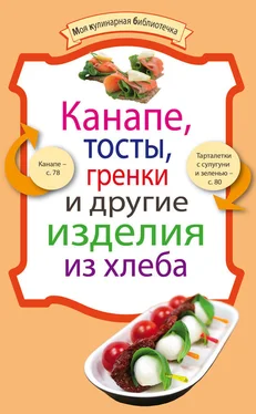 Сборник рецептов Канапе, тосты, гренки и другие изделия из хлеба обложка книги