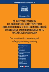 Светлана Матиящук - Комментарий к Федеральному закону «Об энергосбережении и о повышении энергетической эффективности и о внесении изменений в отдельные законодательные акты Российской Федерации» (постатейный)