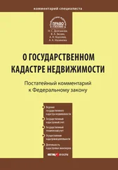 Наталья Долганова - Комментарий к Федеральному закону от 24 июля 2007 г. №221-ФЗ «О государственном кадастре недвижимости»