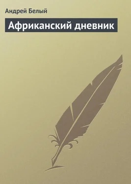 Андрей Белый Африканский дневник обложка книги