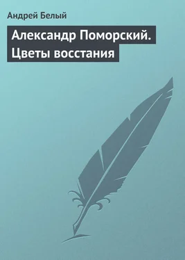 Андрей Белый Александр Поморский. Цветы восстания обложка книги