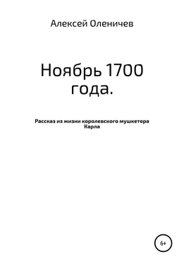Алексей Оленичев Ноябрь 1700 года. Рассказ из жизни королевского мушкетера Карла обложка книги