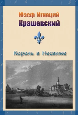 Юзеф Крашевский Король в Несвиже (сборник) обложка книги