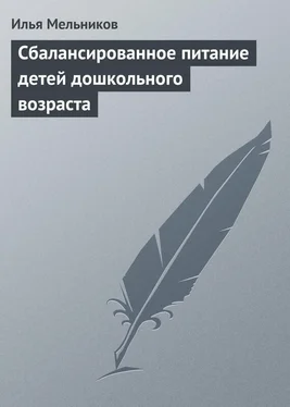 Илья Мельников Сбалансированное питание детей дошкольного возраста обложка книги