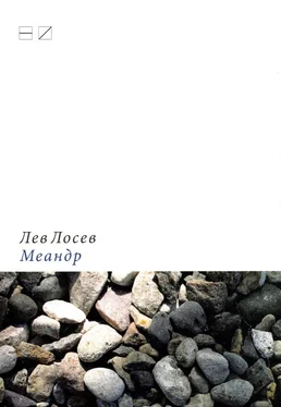 Лев Лосев Меандр обложка книги