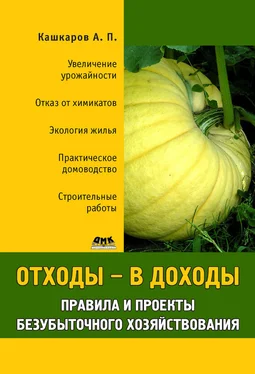 Андрей Кашкаров Отходы – в доходы. Правила и проекты безубыточного хозяйствования обложка книги