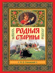 Василий Сиповский - Родная старина