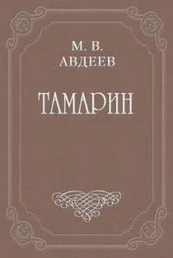 Михаил Авдеев Варенька обложка книги