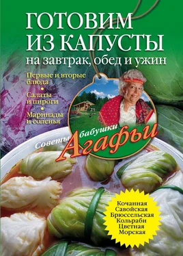 Агафья Звонарева Готовим из капусты на завтрак, обед и ужин. Первые и вторые блюда, салаты и пироги, маринады и соленья обложка книги