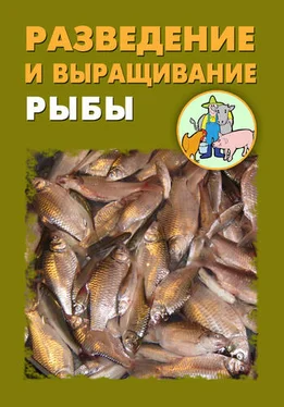 Александр Ханников Разведение и выращивание рыбы обложка книги