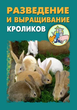 Александр Ханников Разведение и выращивание кроликов обложка книги