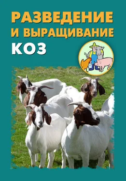 Александр Ханников Разведение и выращивание коз обложка книги